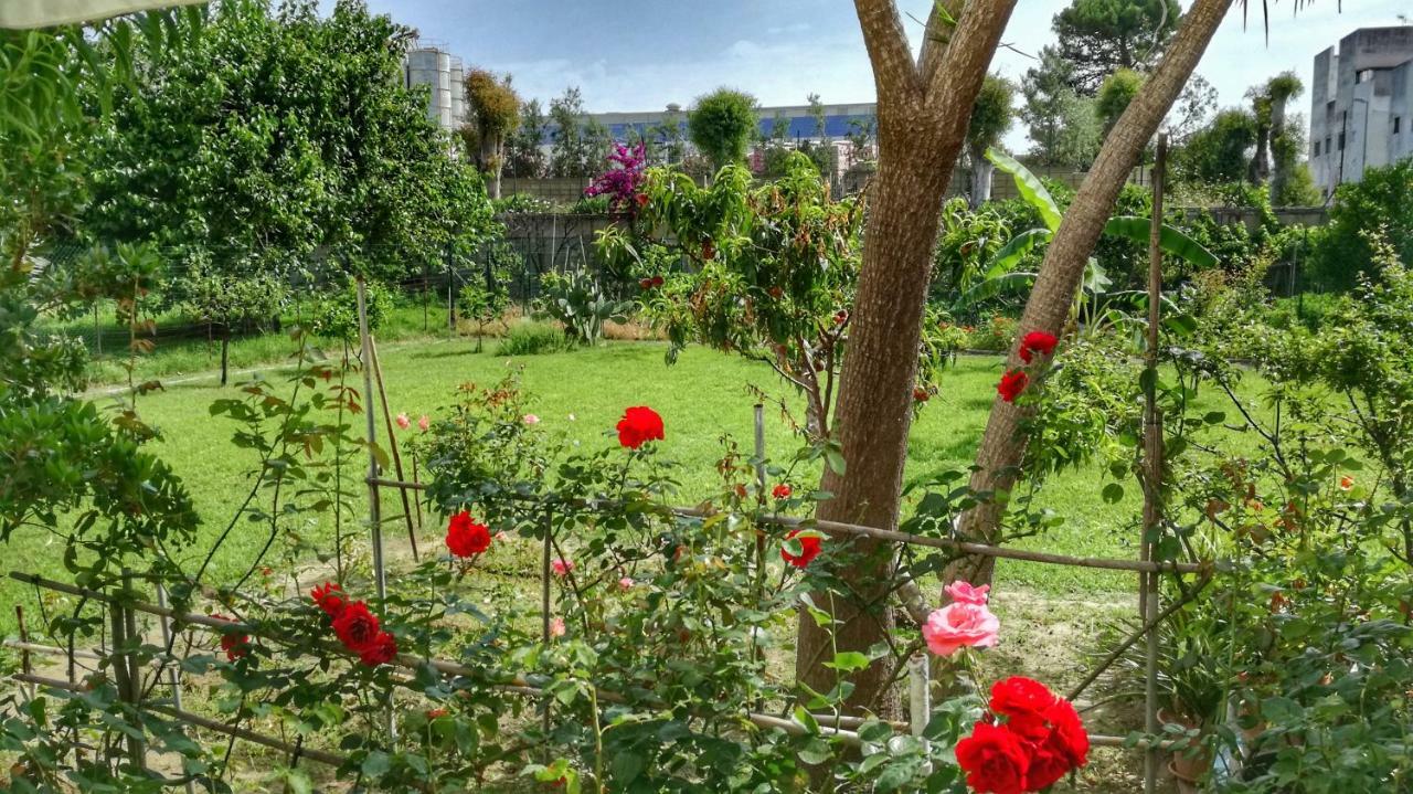 B&B Tifeo Виллафранка-Тиррена Экстерьер фото